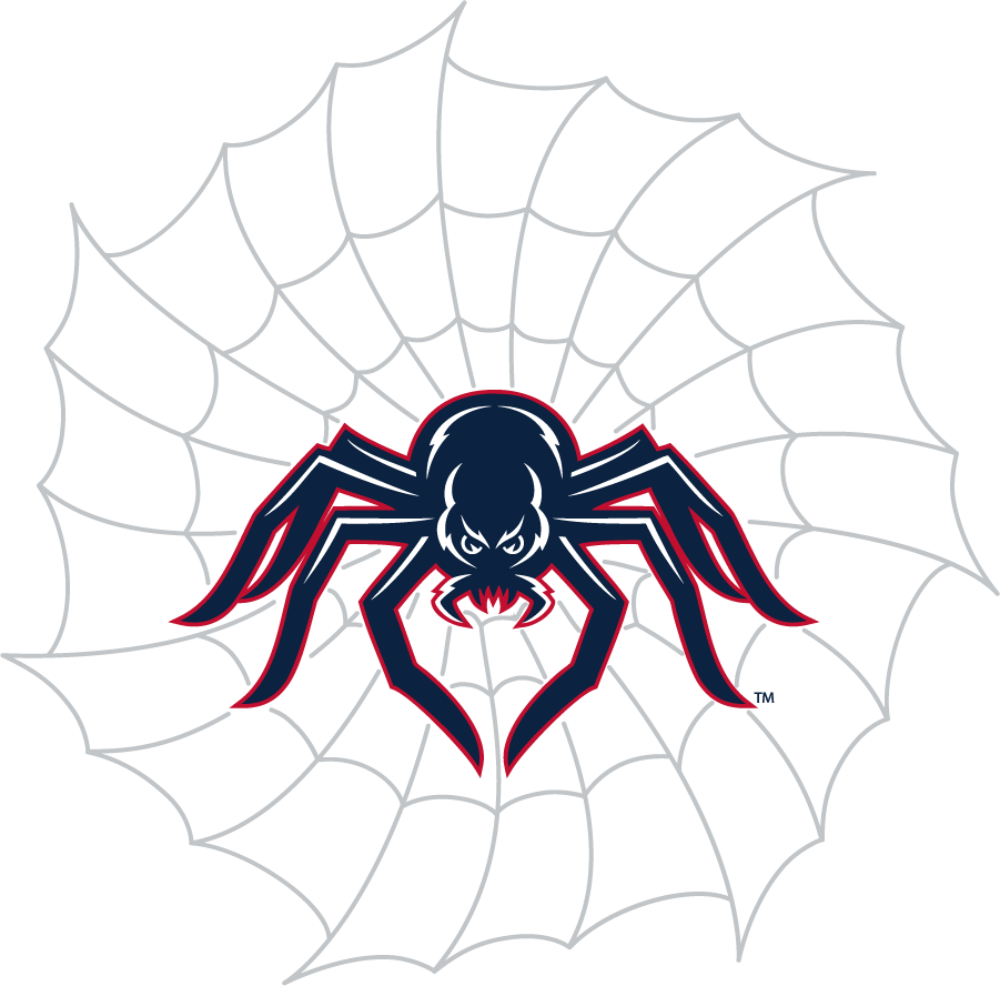 Richmond Spiders 2002-2012 Secondary Logo v2 diy DTF decal sticker